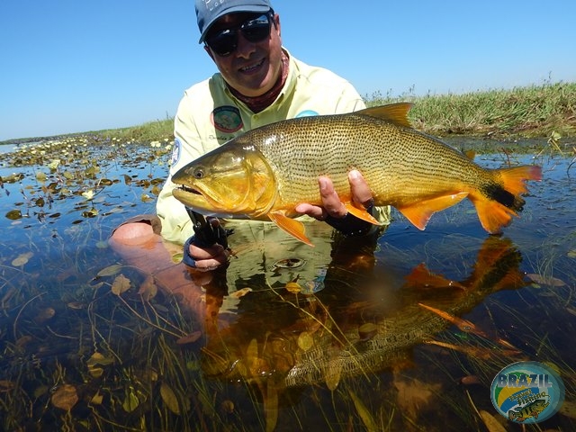 PIRA LODGE - Pantanal Argentino - Temporada 2.016